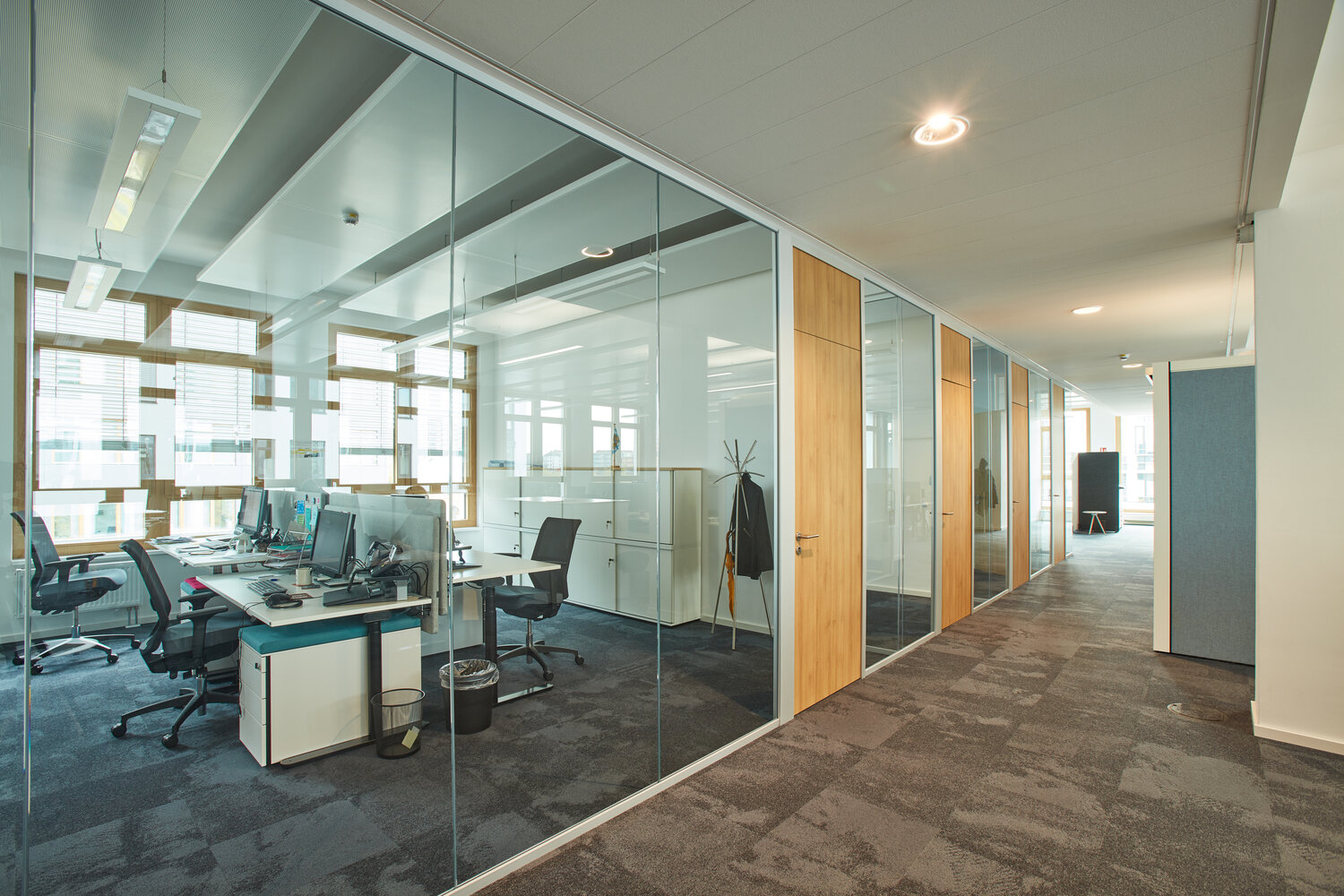 Projekt Bayern Innovation Einzelbüros mit Trennwandsystemen aus Glas und Volltüren in Holzoptik