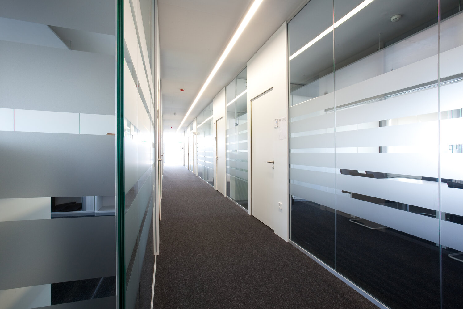 Projekt Frauenhofer Büroflur mit teilfolierten Glastrennwandsystemen