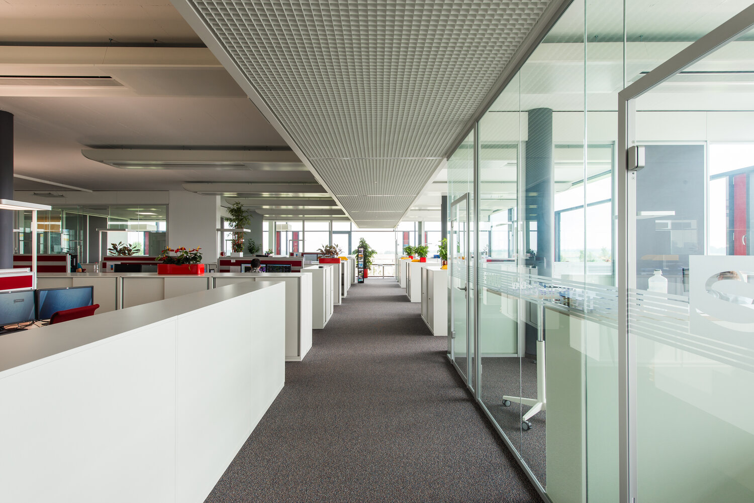 Projekt Schnepf Großraumbüro mit Glastrennwandsystem