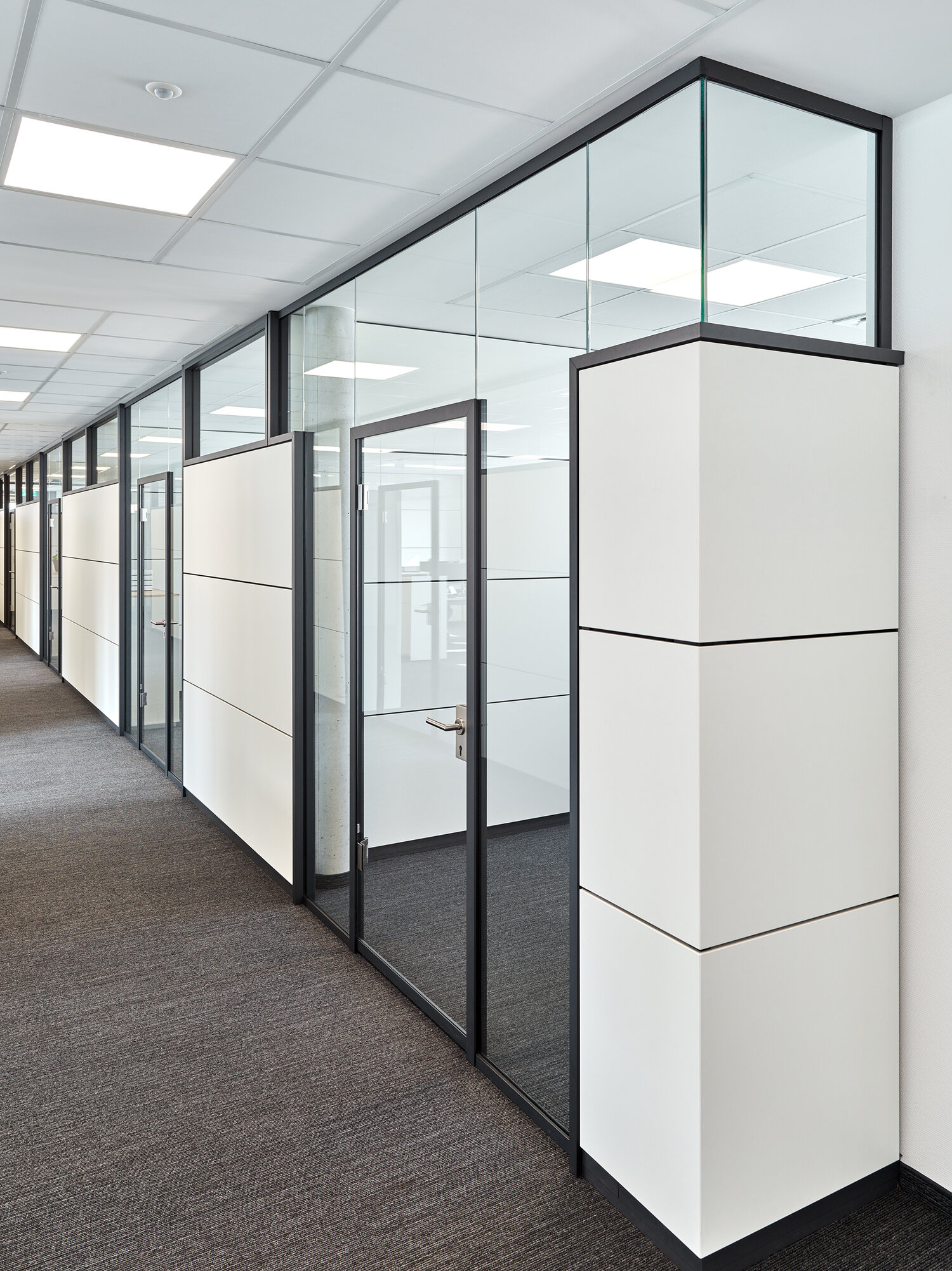 Projekt NetPlans Glastrennwände mit schwarzem Rahmen