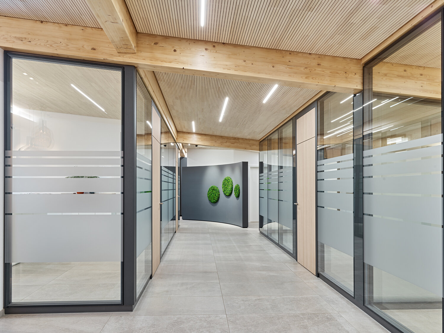 Projekt Menner Büroflur mit Trennwänden aus Holz und Glas