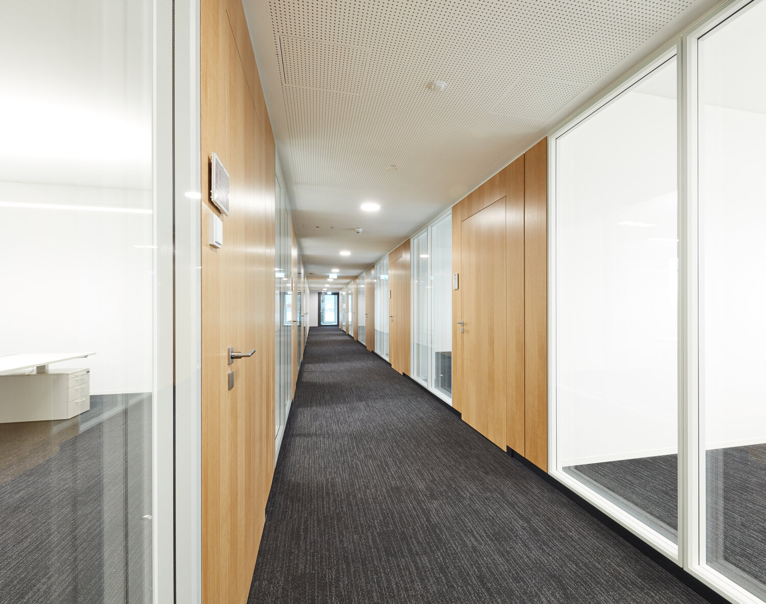 Projekt Markant Büroflur mit Glastrennwandsystemen mit Holztüren