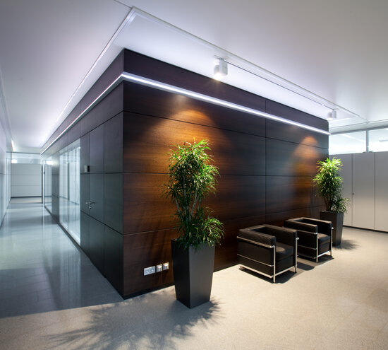 Projekt Blanko Raum-in-Raum System mit Trennwänden aus dunkler Vollwand und Glas