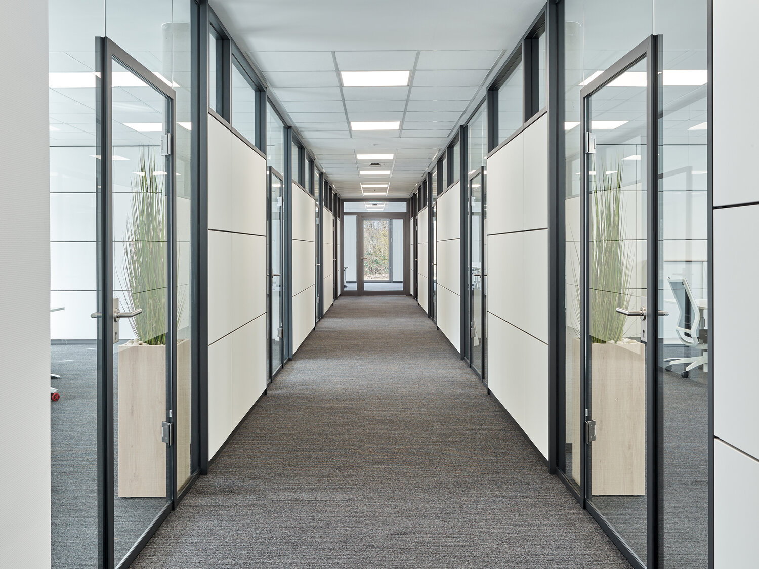 Projekt NetPlans Büroflur mit Glastrennwänden