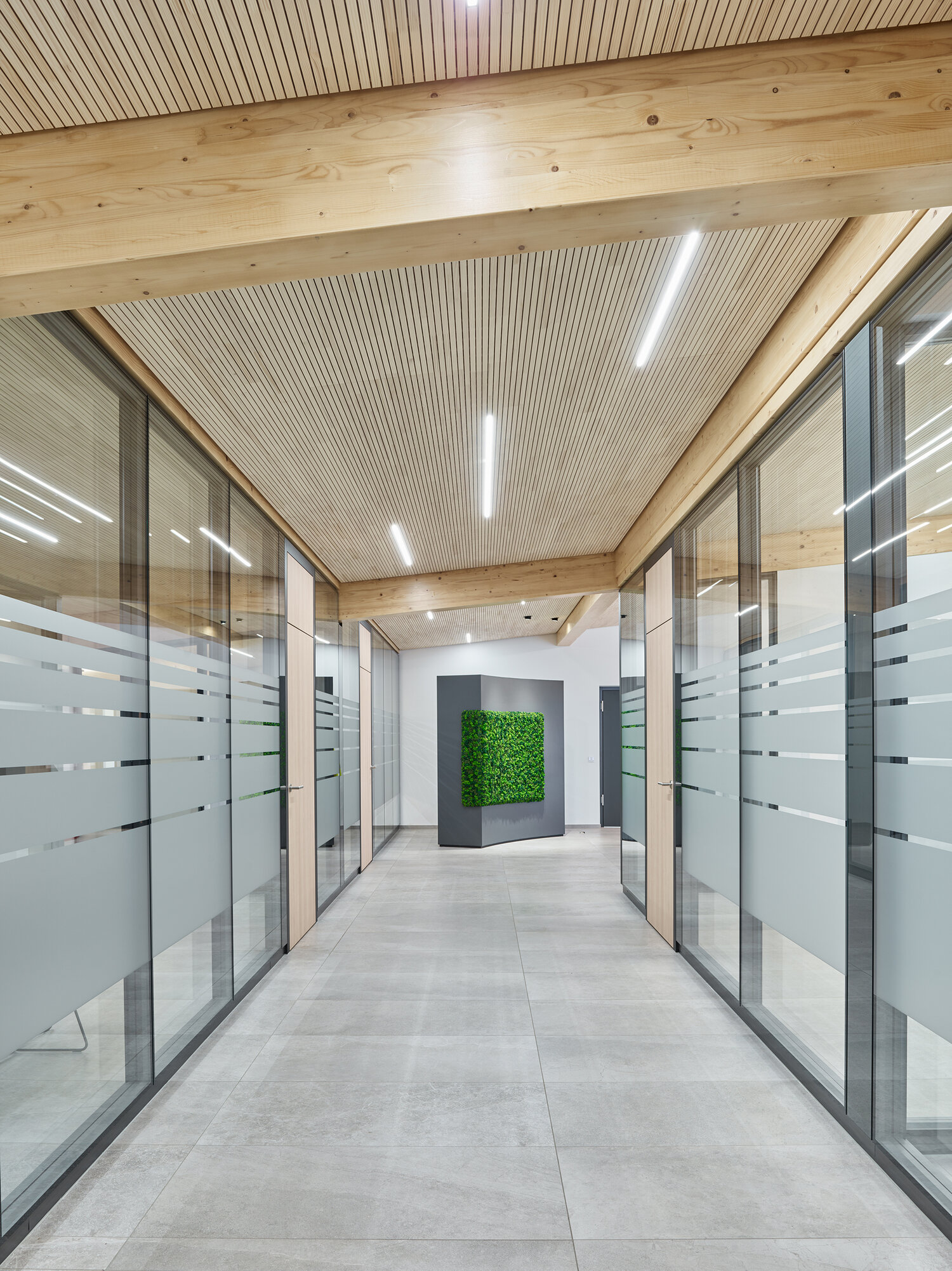 Projekt Menner Büroflur mit Trennwandsystemen aus Glas und Holztüren