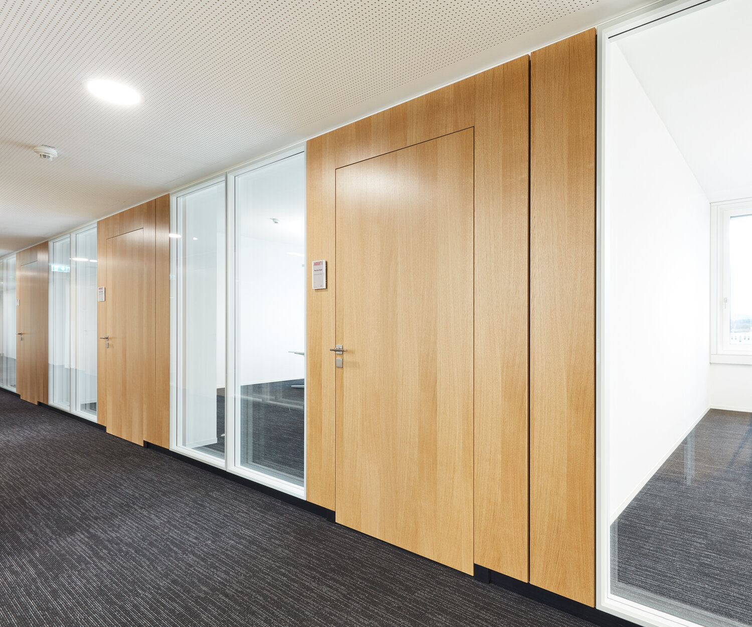 Projekt Markant Glastrennwände mit Holztüren
