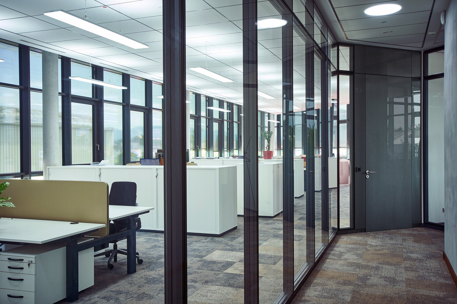 Projekt Fischer Blick in Bürogang mit Glastrennwänden und dunkler Volltür
