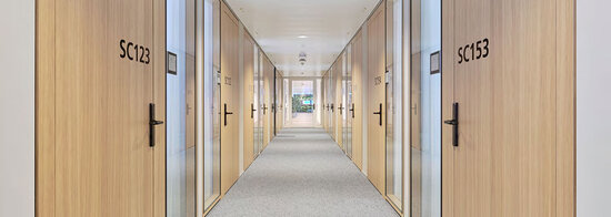 PANwood Trennwandsystem aus Echtholz für das Büro PANwood Trennwandsystem aus Echtholz für das Büro